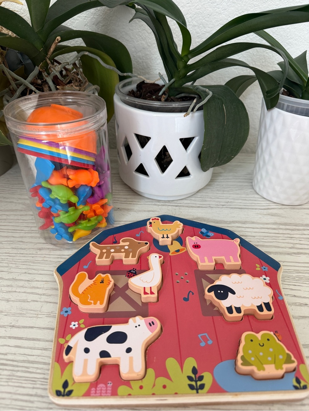 Educational toy set